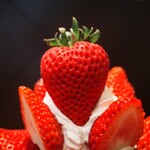 recommendations for フルーフ・デゥ・セゾン