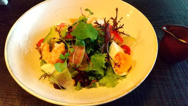 bistro plus的实拍高清图