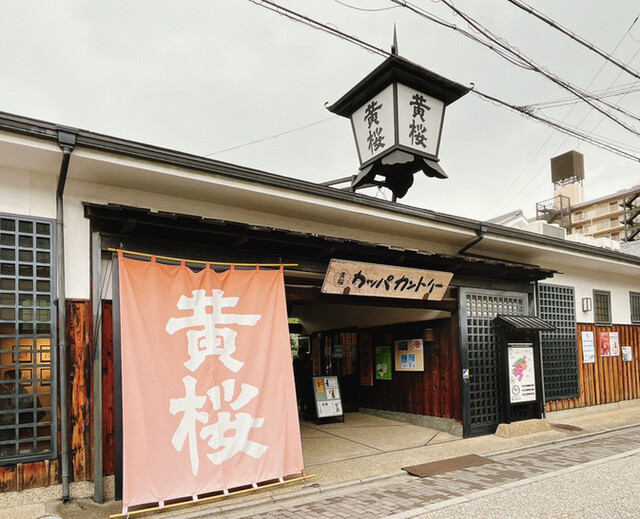 黄桜商店的实拍高清图