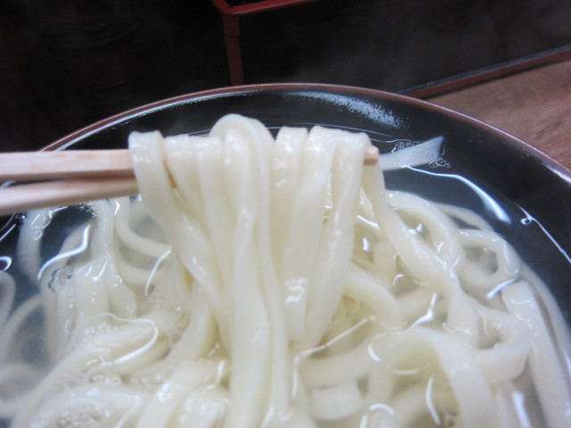 博多さぬきうどん 西通り大名店的實拍高清圖