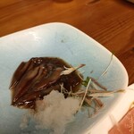 バルカミヤ的實拍圖