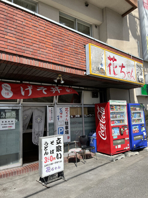 花ちゃん的实拍高清图