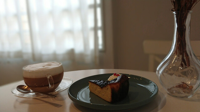 recommendations image for papillon