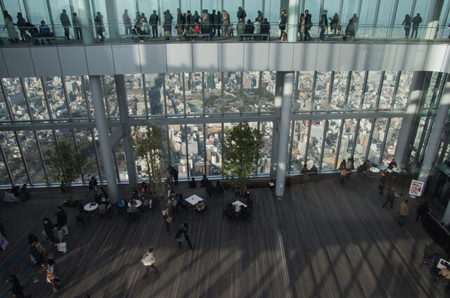 SKY GARDEN 300的實拍高清圖