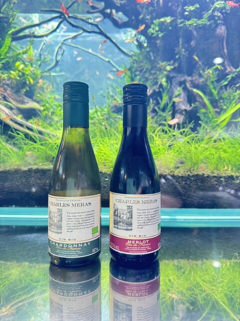 AQUA GARDEN KYOTO的實拍高清圖