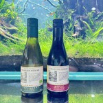 AQUA GARDEN KYOTO的實拍圖
