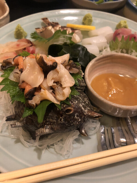 じゃじゃ馬的实拍高清图