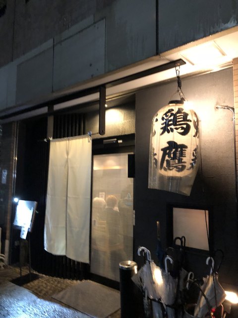 鶏鷹的實拍高清圖