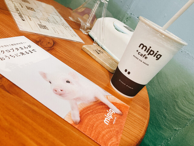 マイピッグカフェ 大阪店的實拍高清圖