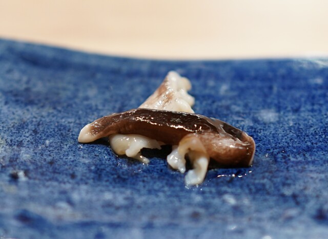 鮨 秀とら的实拍高清图