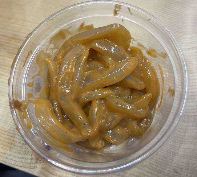 おさかな 魚四季的實拍高清圖