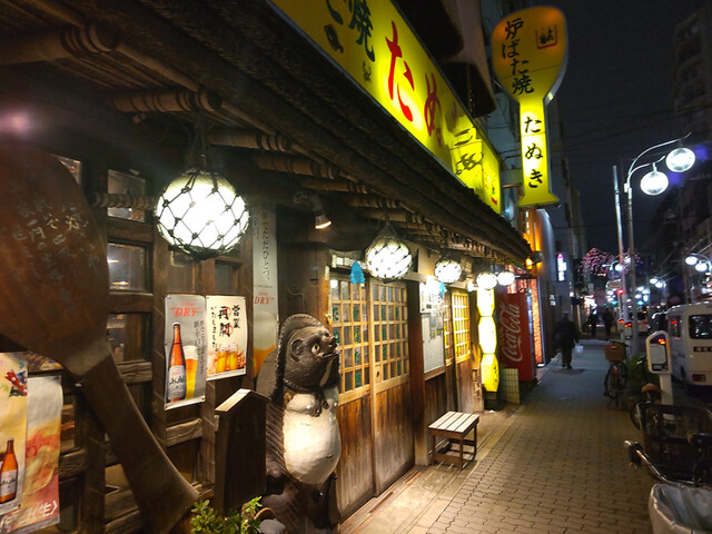 たぬき的實拍高清圖