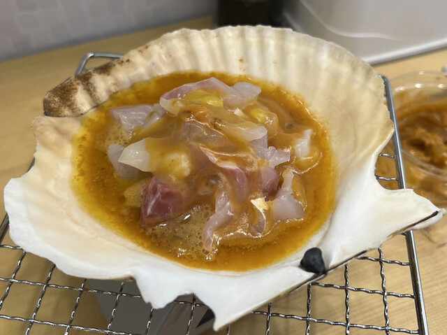 おさかな 魚四季的實拍高清圖