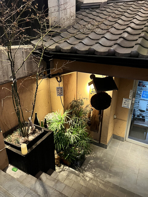 魚猿的实拍高清图