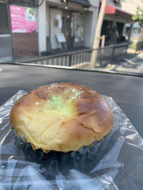 松的实拍高清图
