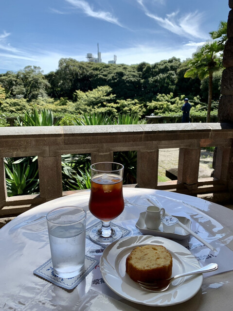 旧古河庭園 洋館　喫茶室的实拍高清图