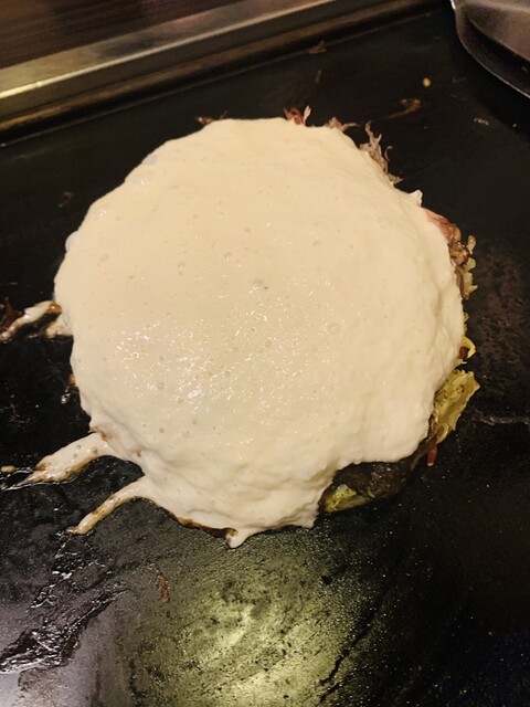 源亀的實拍高清圖