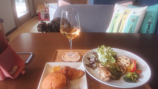 Cafe&Diningbar With Cat's Lamp的实拍高清图