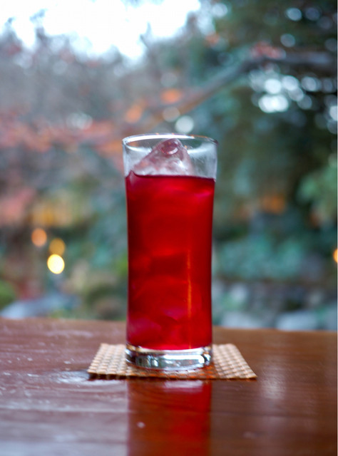 閑臥庵的實拍高清圖