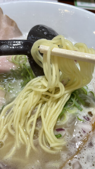 白湯麺専門店 丸福ラーメン 守口店的实拍高清图