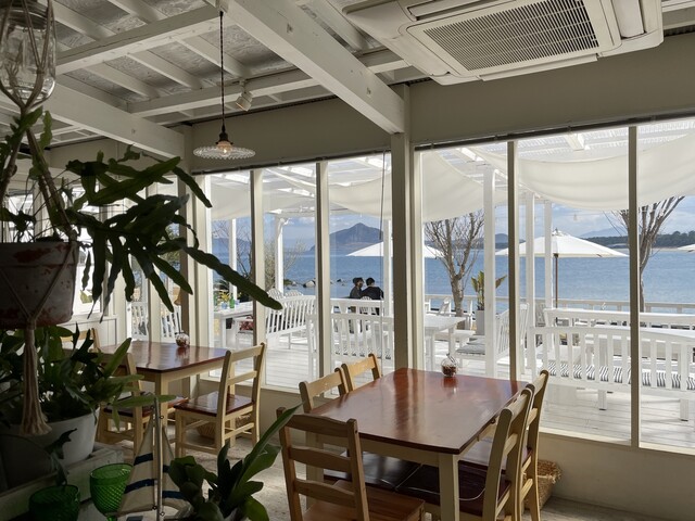 recommendations image for BeachHouseStyleCafe sunflower