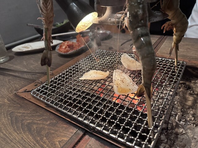 ロバタノカリスマ的實拍高清圖