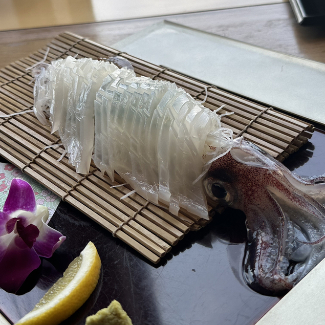 波平的實拍高清圖