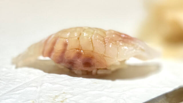 すし尽誠的實拍高清圖