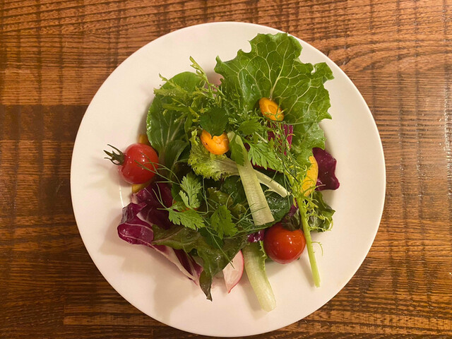 non-style TAMIS的實拍高清圖