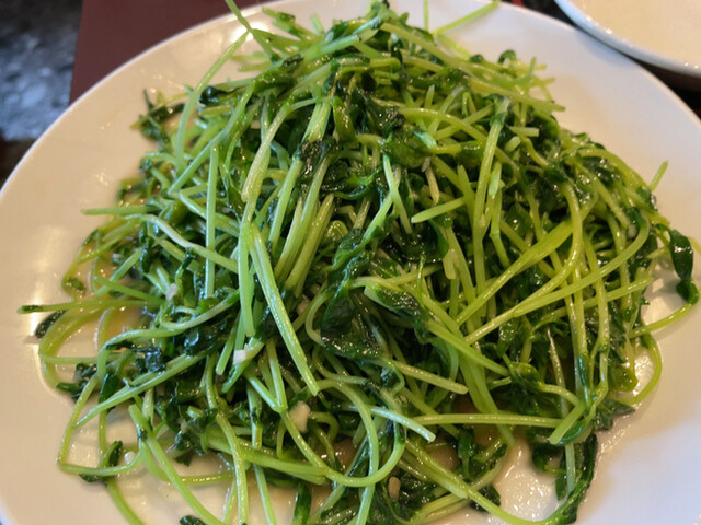 千里香的實拍高清圖