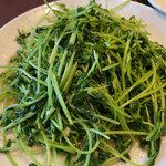 千里香的實拍圖