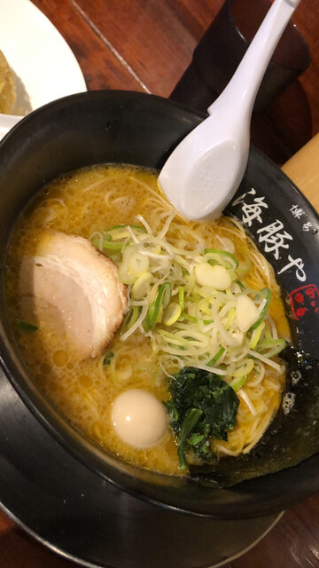 西新 海豚や的实拍高清图