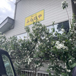 recommendations for ふらのや