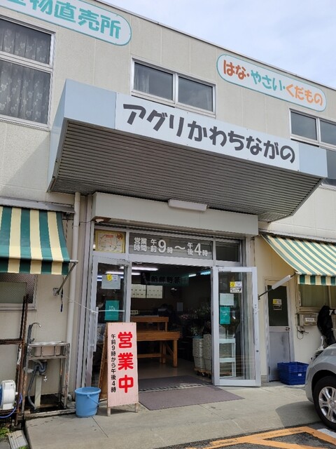 アグリかわちながの JA大阪南河内長野支店的實拍高清圖