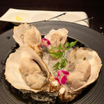 シェルポ的實拍圖