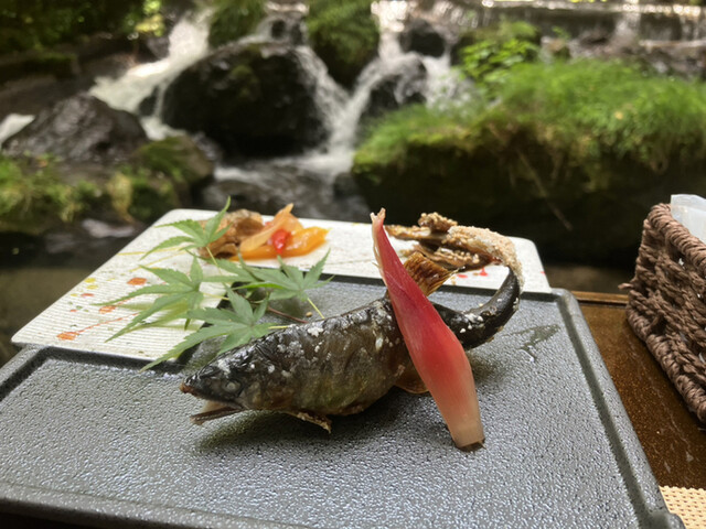 かつら的实拍高清图
