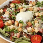 recommendations for くーさん