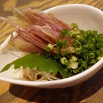 本まぐろ大船団的實拍圖