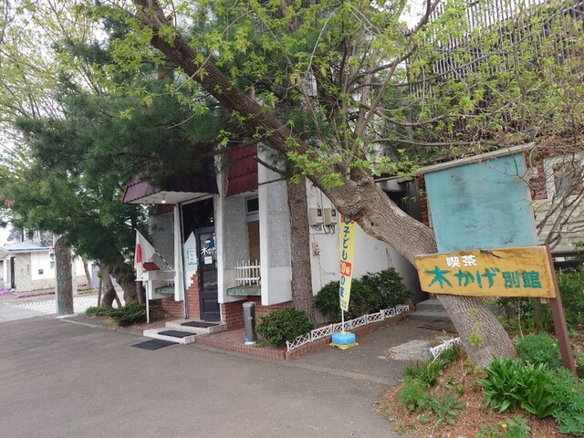 木かげ的实拍高清图