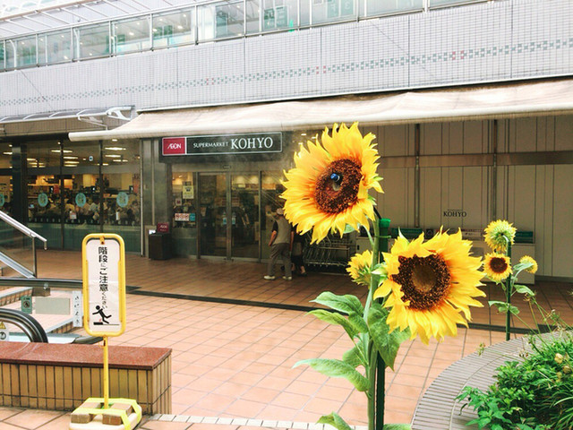 KOHYO 北大路店的實拍高清圖