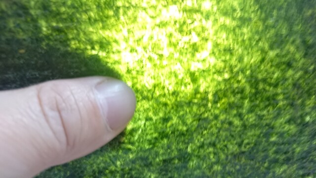 五味商店 工場直売所的實拍高清圖