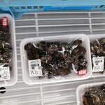 recommendations for JF糸島 志摩の四季