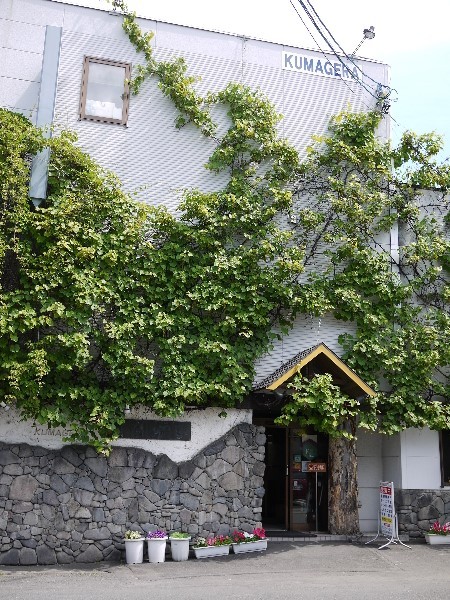 recommendations for くまげら