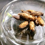 爬虫類バー ゴルゴーン的實拍圖
