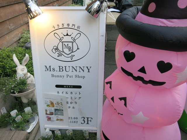 recommendations image for ミス・バニー