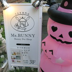 recommendations for ミス・バニー