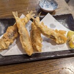 recommendations for 能登治