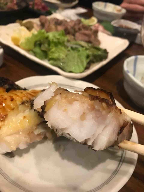 魚けん的實拍高清圖