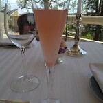 recommendations for テラコヤ