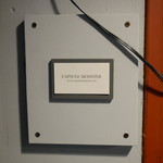 カプセルモンスター的实拍图